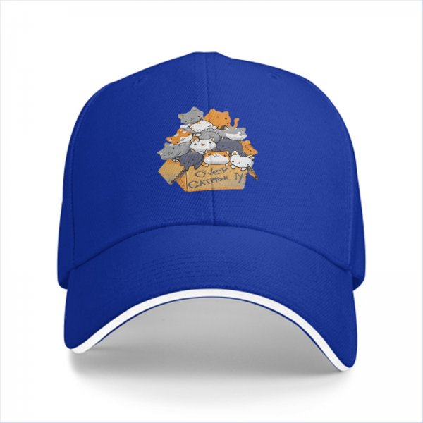 Black baseball cap with cute cats in a box graphic