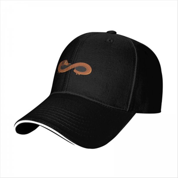 Black Baseball Cap With Dachshund Infinity Design