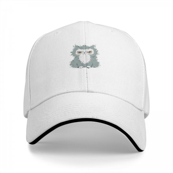 Black Baseball Cap With Grumpy Fluffy Grey Cat Graphic