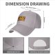 Steve's Lava Chicken Graphic Black Baseball Cap