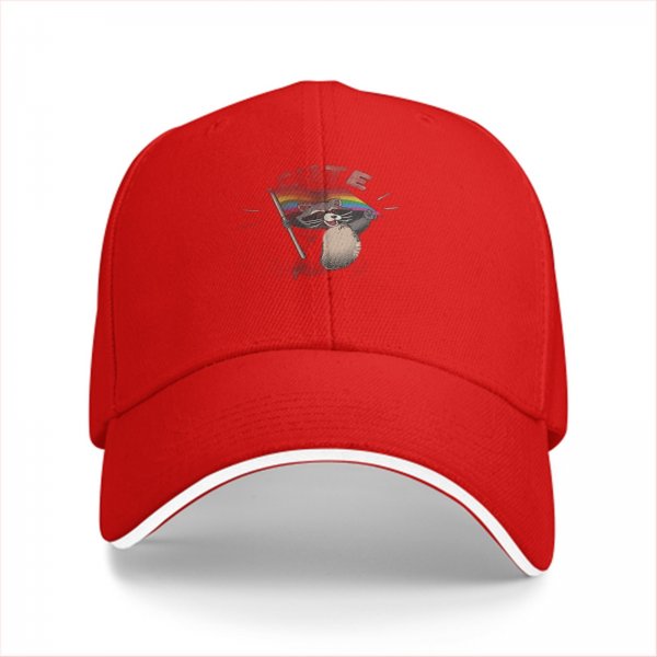Black Baseball Cap With Raccoon Holding Pride Flag Design