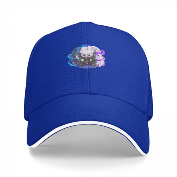 Black Baseball Cap With Toothless And Light Fury Dragon Art