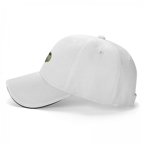 Black baseball cap with cute frog holding 'Don't mess with me' sign