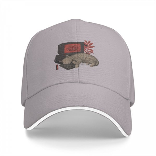 Black baseball cap with sleeping cat on retro computer graphic