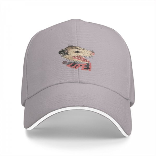 Black baseball cap with hissing opossum and LIFE! graphic