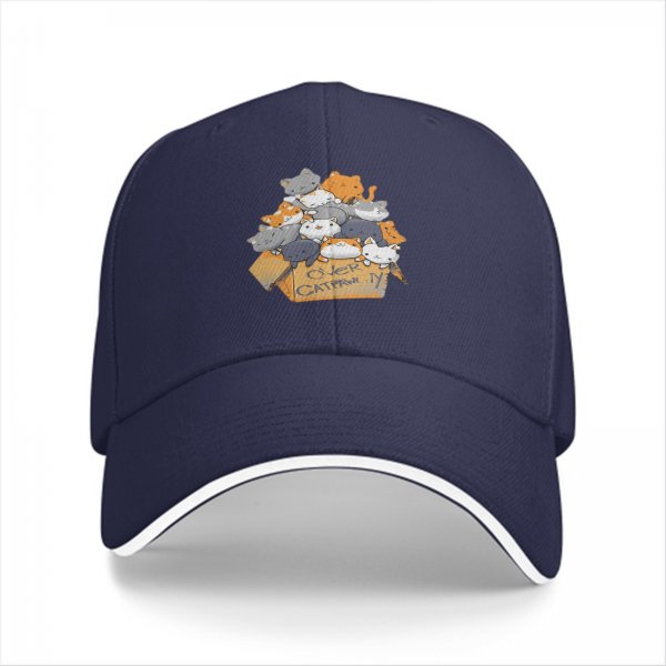Black baseball cap with cute cats in a box graphic