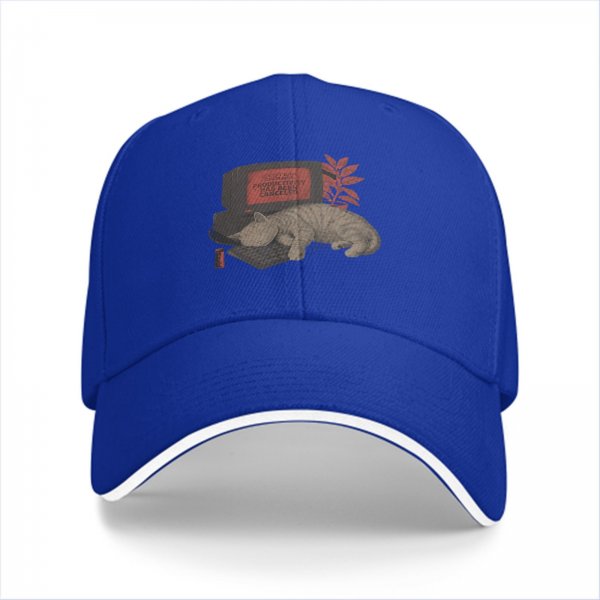 Black baseball cap with sleeping cat on retro computer graphic