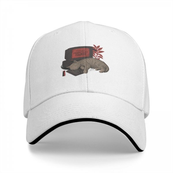 Black baseball cap with sleeping cat on retro computer graphic