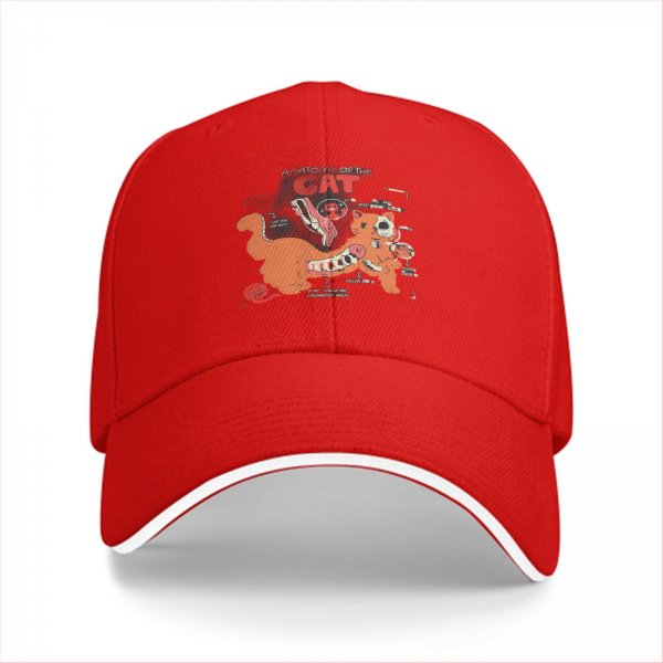 Black Baseball Cap With Funny Anatomy Of The Cat Graphic