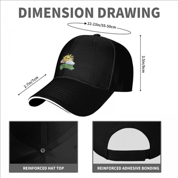 Black baseball cap with cute sun graphic and 'Will I Ruin This Day?' text