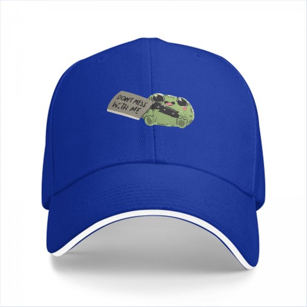 Black baseball cap with cute frog holding 'Don't mess with me' sign
