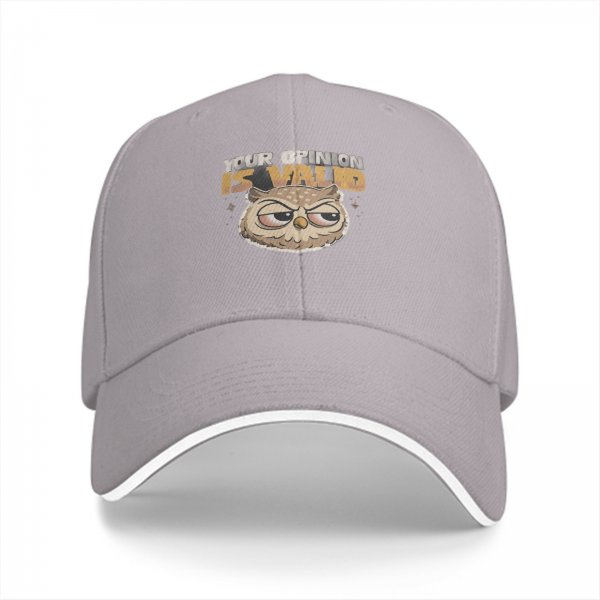 Black Baseball Cap With 'Your Opinion Is Valid' Grumpy Owl Print