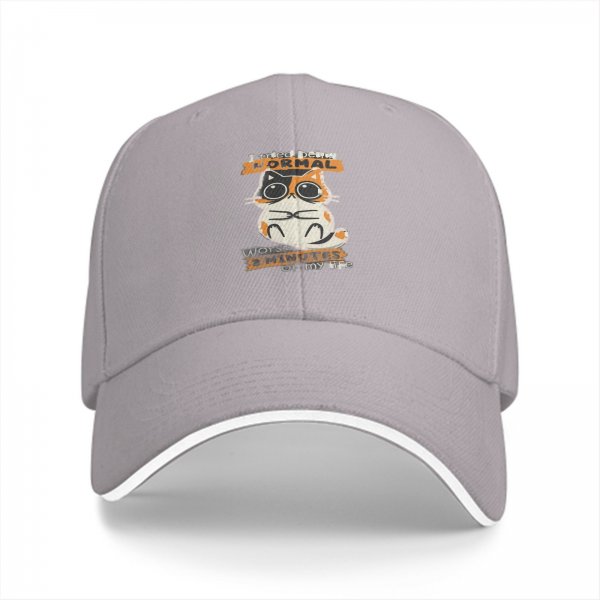 Black baseball cap with 'I tried being normal' calico cat graphic