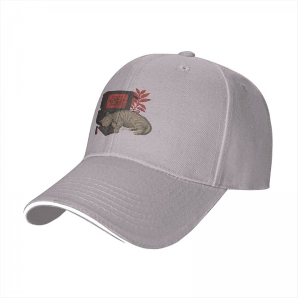 Black baseball cap with sleeping cat on retro computer graphic